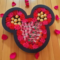 Zamknięte duże pudełko z charakterystycznymi uszami i przezroczystą pokrywką